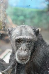 伊豆シャボテン動物公園に投稿された画像（2026/1/6）