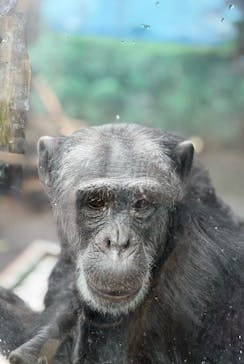 伊豆シャボテン動物公園に投稿された画像（2026/1/6）