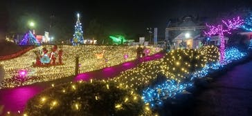 伊豆高原グランイルミに投稿された画像（2026/1/6）