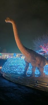 伊豆高原グランイルミに投稿された画像（2026/1/6）