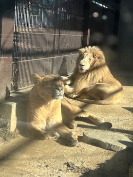 宇都宮動物園に投稿された画像（2026/1/6）