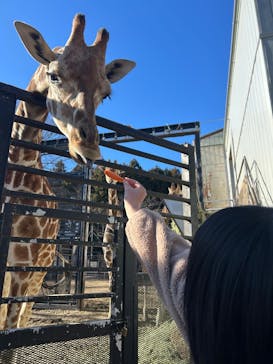 宇都宮動物園に投稿された画像（2026/1/6）