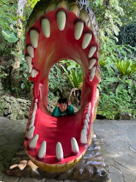 御菓子御殿　名護店　やんばる亜熱帯の森DINO恐竜PARKに投稿された画像（2026/1/6）