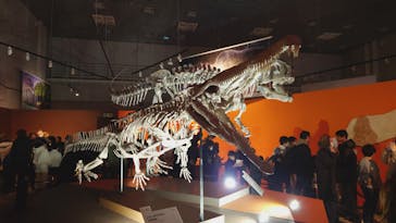 特別展「大絶滅展―生命史のビッグファイブ」に投稿された画像（2026/1/6）