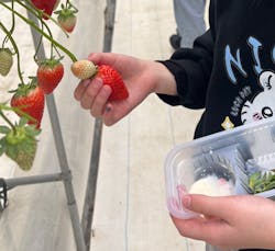 株式会社こまち野に投稿された画像（2026/1/6）