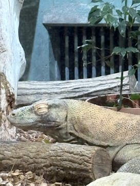 名古屋市東山動植物園に投稿された画像（2026/1/6）