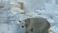 天王寺動物園に投稿された画像（2026/1/6）