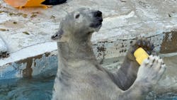 天王寺動物園に投稿された画像（2026/1/6）