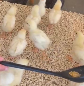 Moff アニマル カフェ イーアス 高尾店に投稿された画像（2026/1/6）