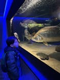 カワスイ 川崎⽔族館に投稿された画像（2026/1/6）