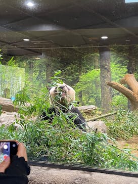 恩賜上野動物園に投稿された画像（2026/1/6）