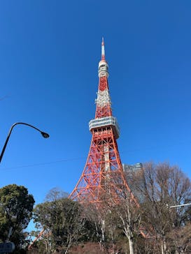 東京タワーに投稿された画像（2026/1/6）