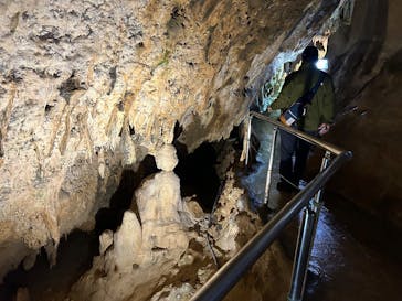 石垣島鍾乳洞に投稿された画像（2026/1/6）