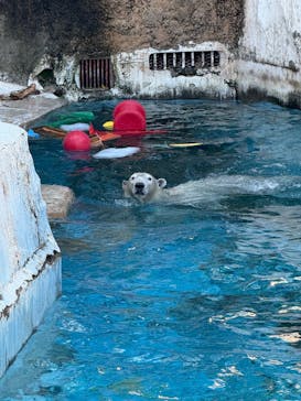 天王寺動物園に投稿された画像（2026/1/6）