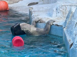 天王寺動物園に投稿された画像（2026/1/6）