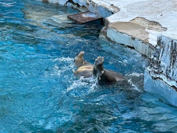 天王寺動物園に投稿された画像（2026/1/6）