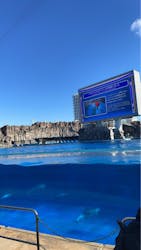 名古屋港水族館に投稿された画像（2026/1/6）