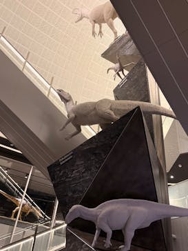 福井県立恐竜博物館に投稿された画像（2026/1/6）