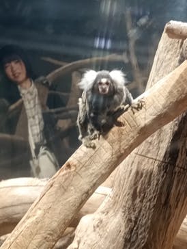 カワスイ 川崎⽔族館に投稿された画像（2026/1/6）