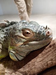 カワスイ 川崎⽔族館に投稿された画像（2026/1/6）