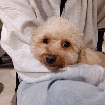 カワスイ 川崎⽔族館に投稿された画像（2026/1/6）