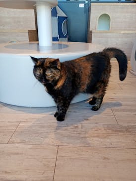 カワスイ 川崎⽔族館に投稿された画像（2026/1/6）