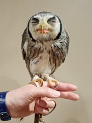 カワスイ 川崎⽔族館に投稿された画像（2026/1/6）