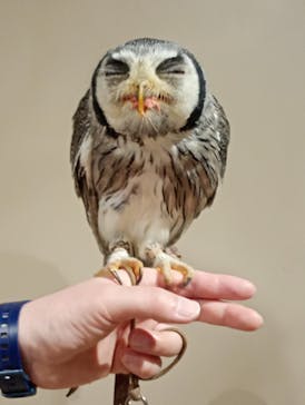 カワスイ 川崎⽔族館に投稿された画像（2026/1/6）