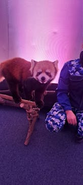 横浜・八景島シーパラダイスに投稿された画像（2026/1/6）