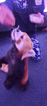 横浜・八景島シーパラダイスに投稿された画像（2026/1/6）