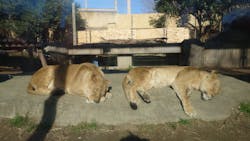 東武動物公園に投稿された画像（2026/1/6）