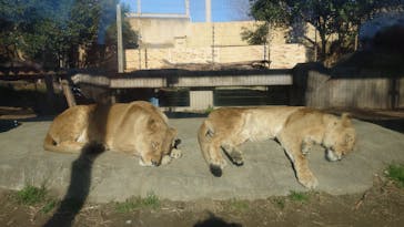 東武動物公園に投稿された画像（2026/1/6）