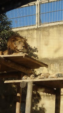 東武動物公園に投稿された画像（2026/1/6）