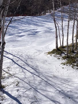 八千穂高原スキー場に投稿された画像（2026/1/6）