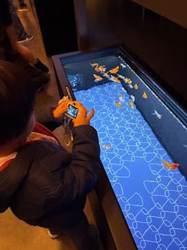 すみだ水族館に投稿された画像（2026/1/6）