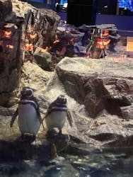 すみだ水族館に投稿された画像（2026/1/6）