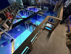 サンシャイン水族館に投稿された画像（2026/1/6）