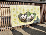 恩賜上野動物園に投稿された画像（2026/1/6）