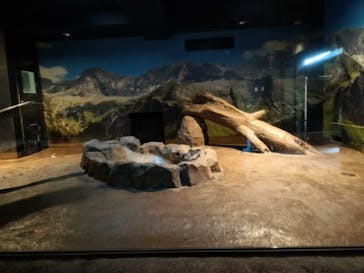 恩賜上野動物園に投稿された画像（2026/1/6）