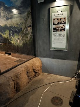 恩賜上野動物園に投稿された画像（2026/1/6）