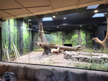 恩賜上野動物園に投稿された画像（2026/1/6）