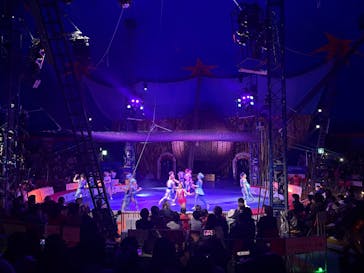 木下大サーカス立川公演に投稿された画像（2026/1/6）