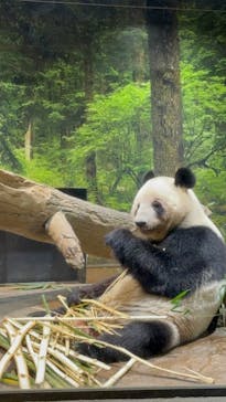 恩賜上野動物園に投稿された画像（2026/1/6）