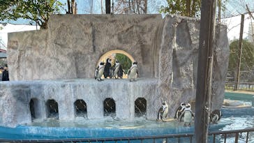 恩賜上野動物園に投稿された画像（2026/1/6）