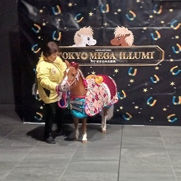 東京メガイルミに投稿された画像（2026/1/6）