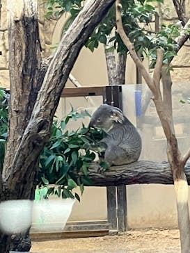 名古屋市東山動植物園に投稿された画像（2026/1/6）