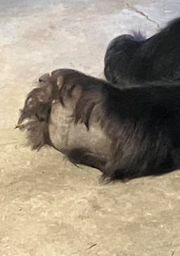 名古屋市東山動植物園に投稿された画像（2026/1/6）