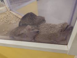 アニタッチ 東京ドームシティに投稿された画像（2026/1/6）