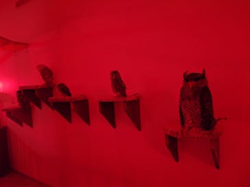 アニタッチ 東京ドームシティに投稿された画像（2026/1/6）