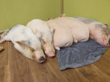 アニタッチ 東京ドームシティに投稿された画像（2026/1/6）